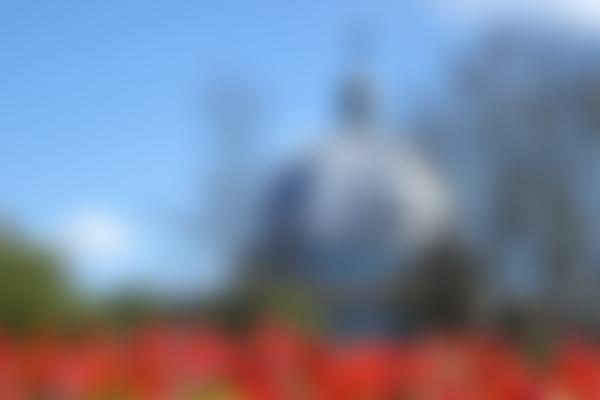 Christ The Cornerstone Ecumenical Partnership | Charici