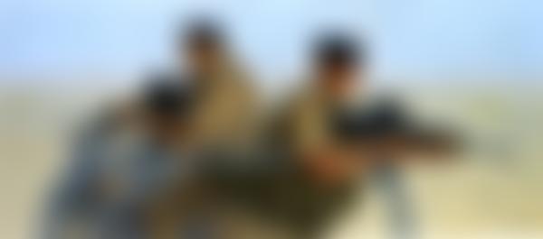 Royal Welch Fusiliers Regimental Museum Trust Ltd | Charici