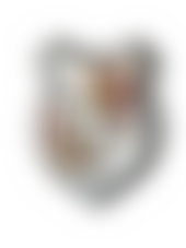 The Military Historical Society | Charici