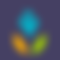 Seven Seeds Cio | Charici