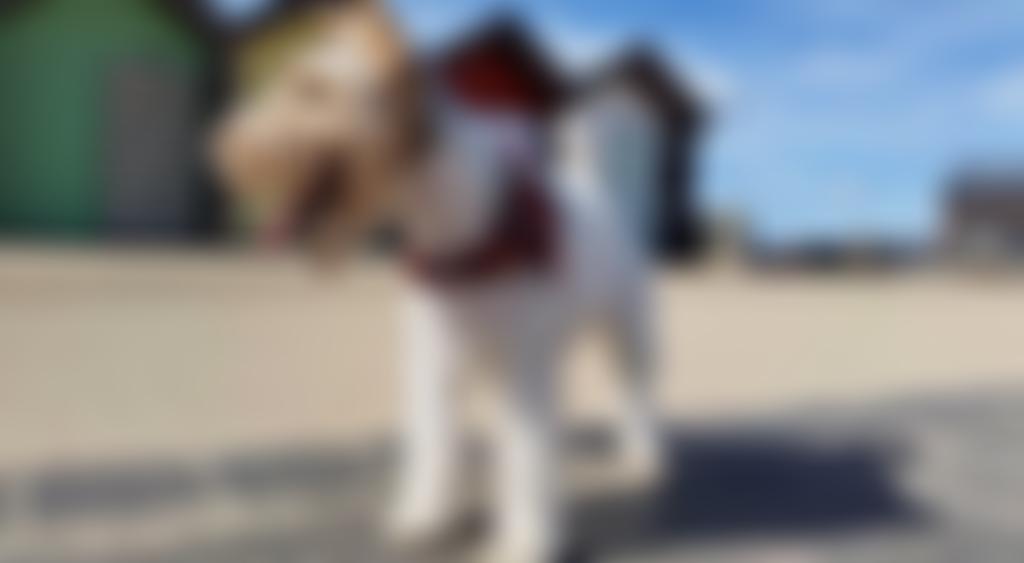 Not Quite Wired | Charici