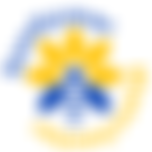 Sunflower Manchester | Charici