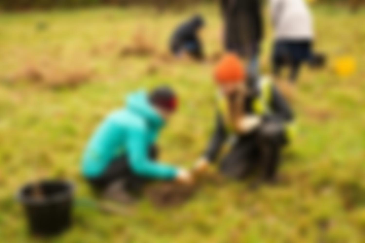 City Of Trees Trust | Charici