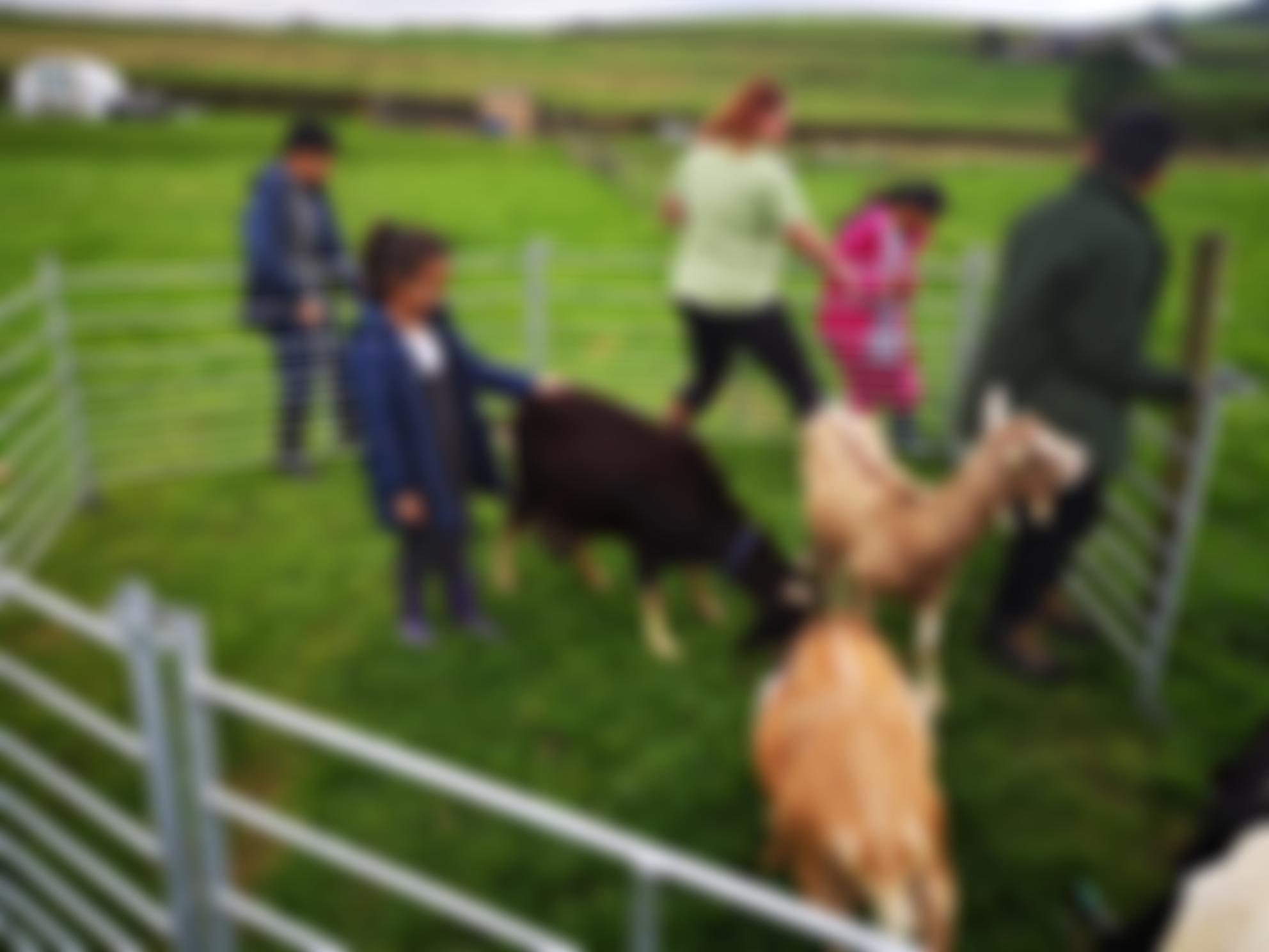 Nature Warriors | Charici