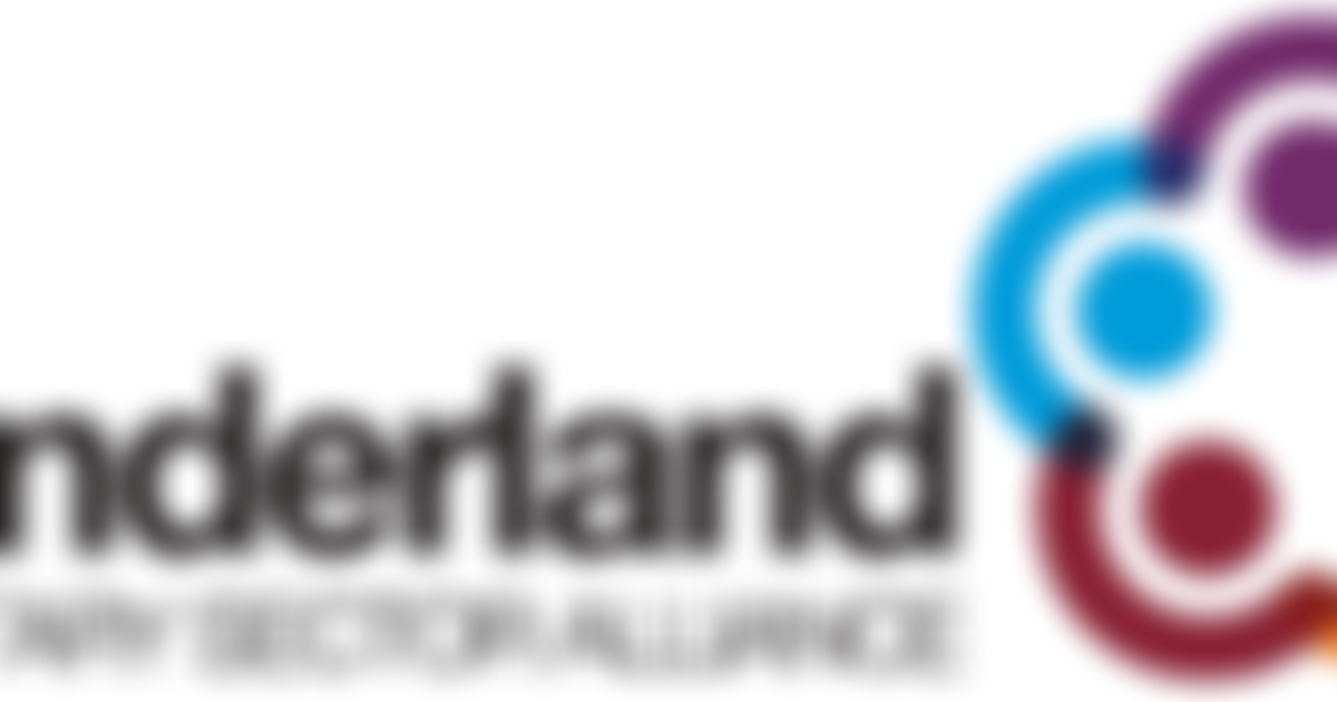 Sunderland Voluntary Sector Alliance | Charici