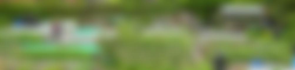 Vale Allotments Association | Charici