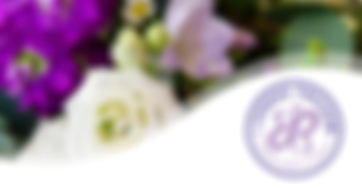 I Choose Freedom Charity | Charici