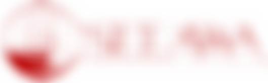 Southeast And East Asian Women’s Association | Charici