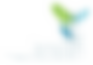 Gwasanaeth Cynnal Gofalwyr (Carers Outreach Service) | Charici