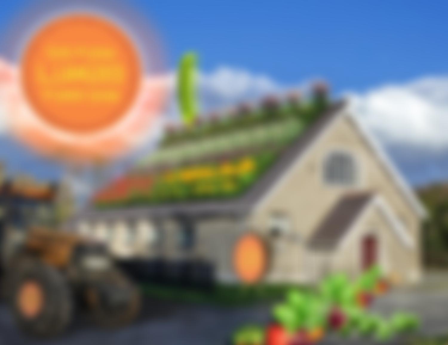 Llangoed & District Flower Show | Charici