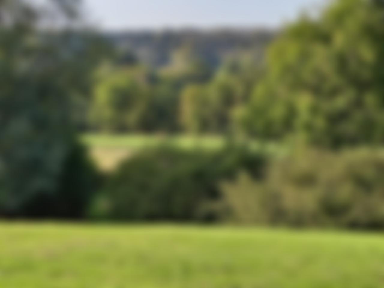The Edward Thomas Fellowship | Charici