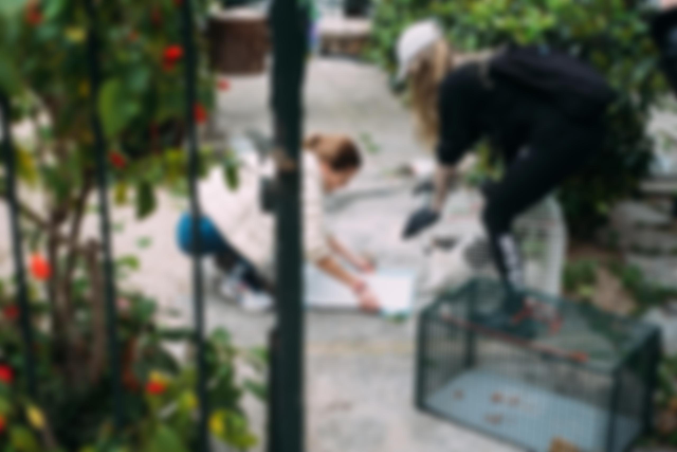 Travel Animal Rescue Global | Charici