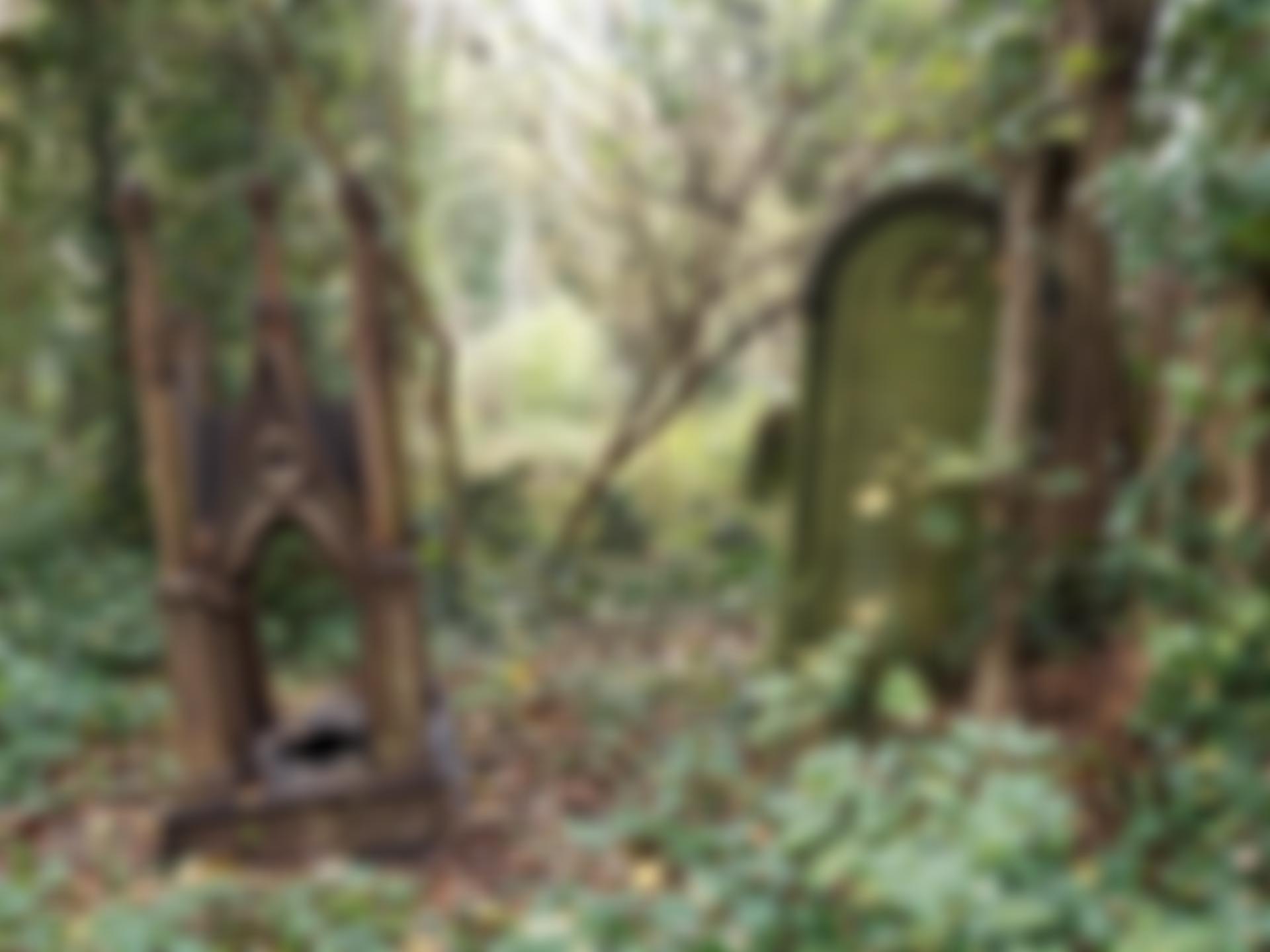 Friends Of Hull General Cemetery (Fohgc) | Charici