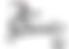 Cameratina Ltd | Charici