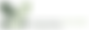 The Nutritional Wellbeing Foundation | Charici