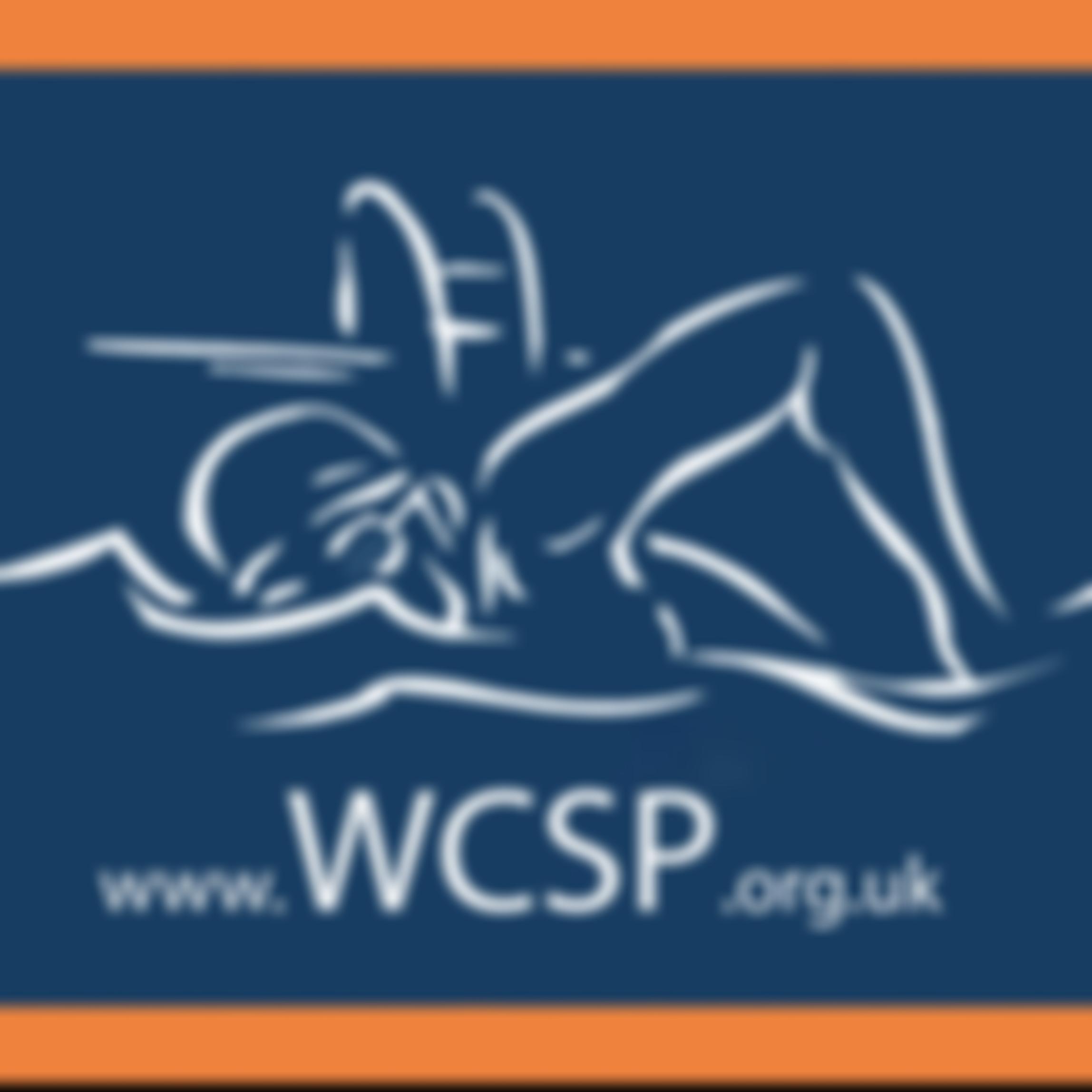 Whitchurch Community Swimming Pool | Charici