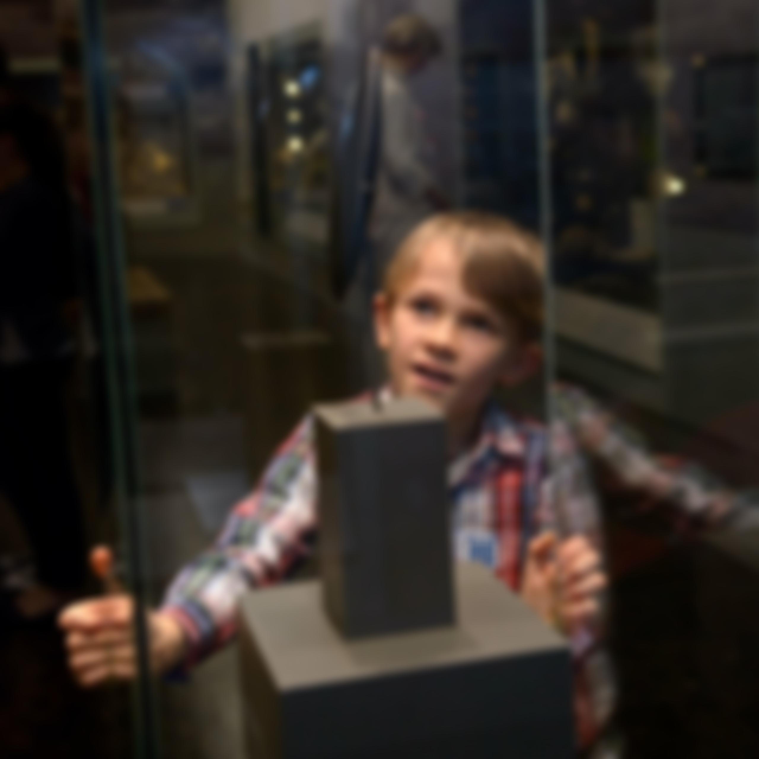 The Salisbury And South Wiltshire Museum Trust | Charici