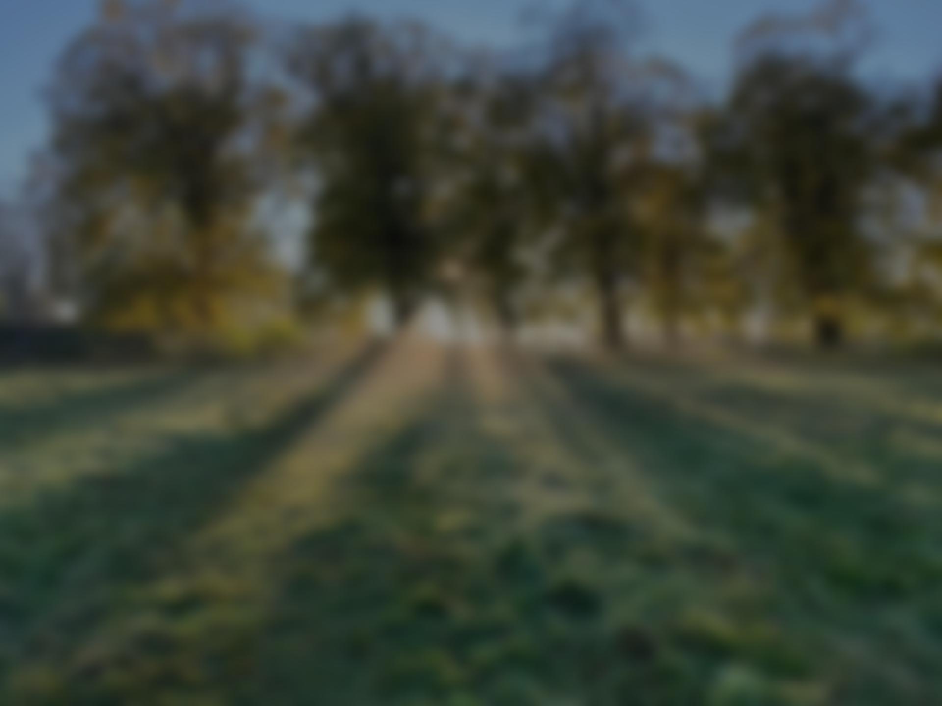 Brightview Farm | Charici