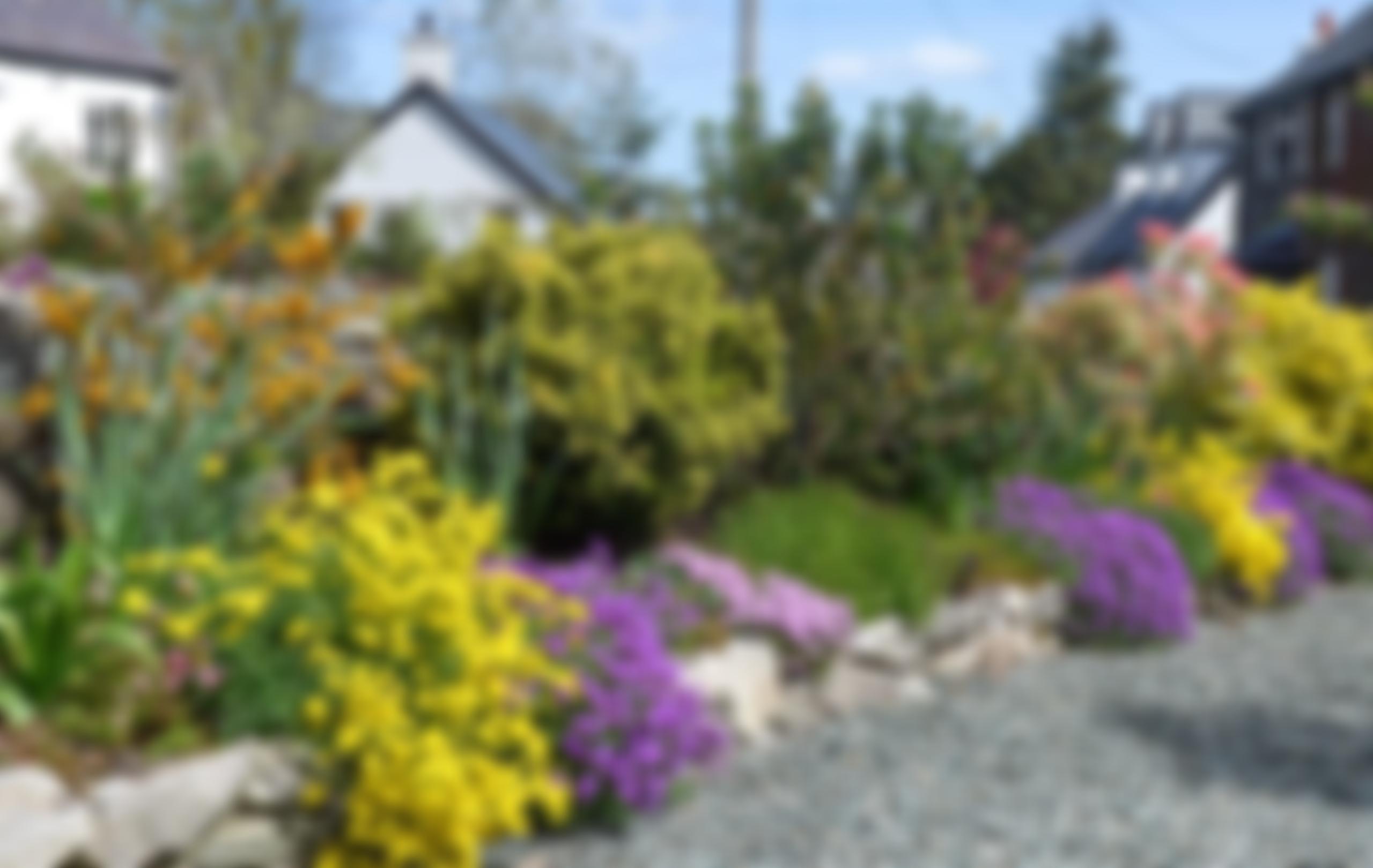 Neuadd Goffa Rowen Memorial Hall | Charici