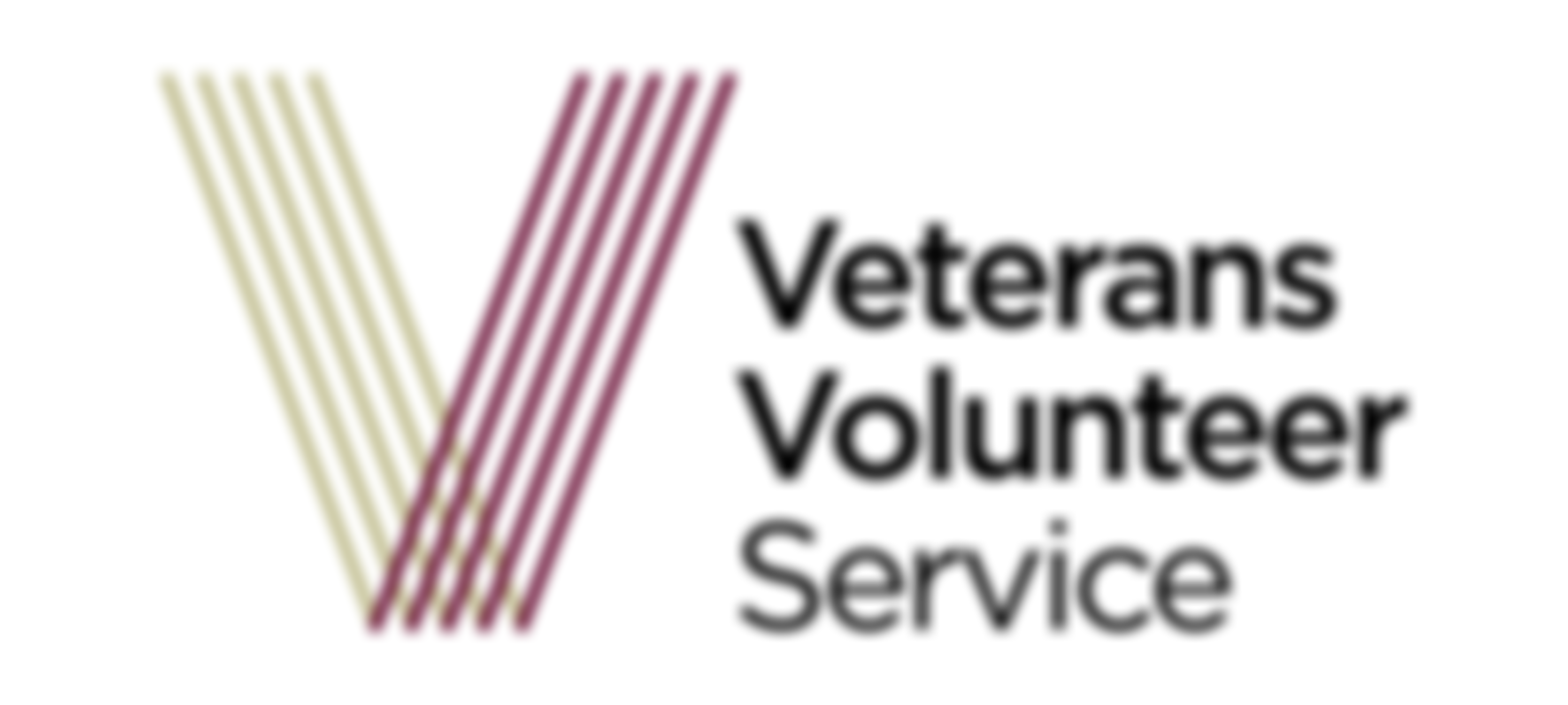Veterans Volunteer Service | Charici