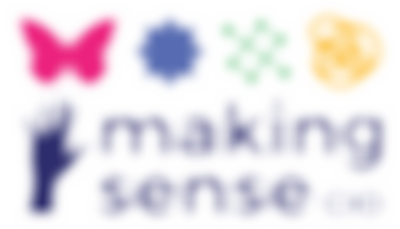 Making Sense Cio | Charici