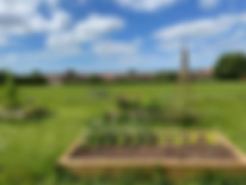 Hillfields Community Garden | Charici