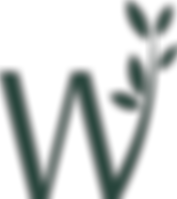 Wildwood Nature School | Charici