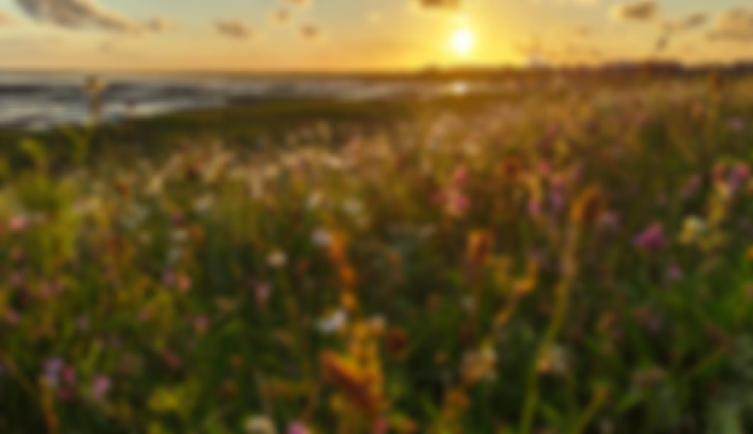 Bring Back Bugs | Charici