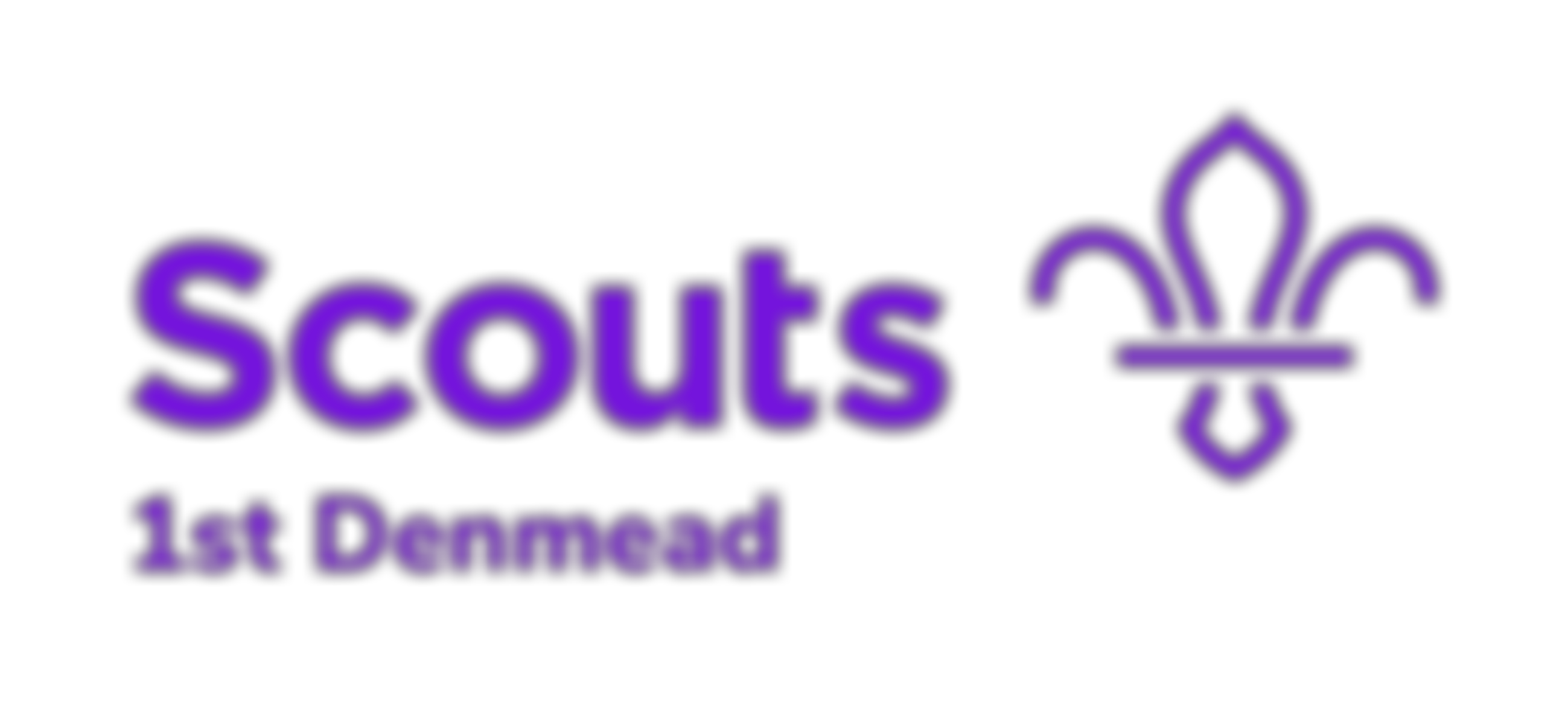 1St Denmead Scout Group | Charici