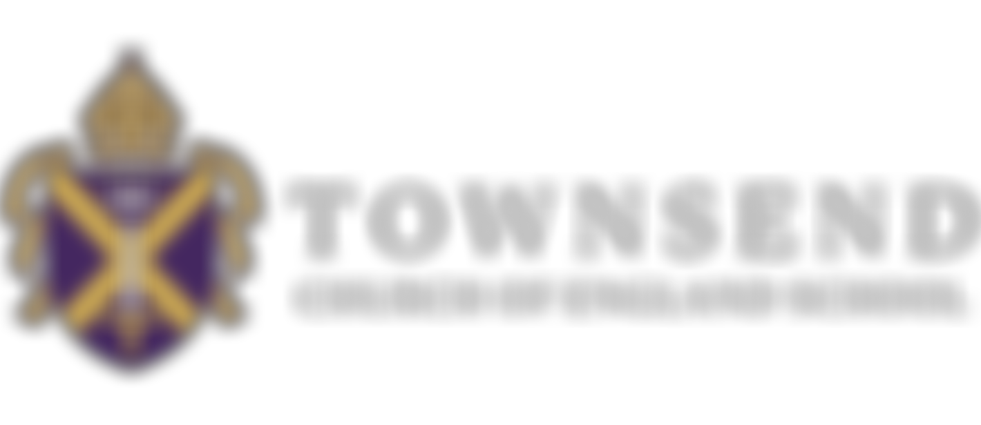 Townsend School Parent Teacher Association | Charici