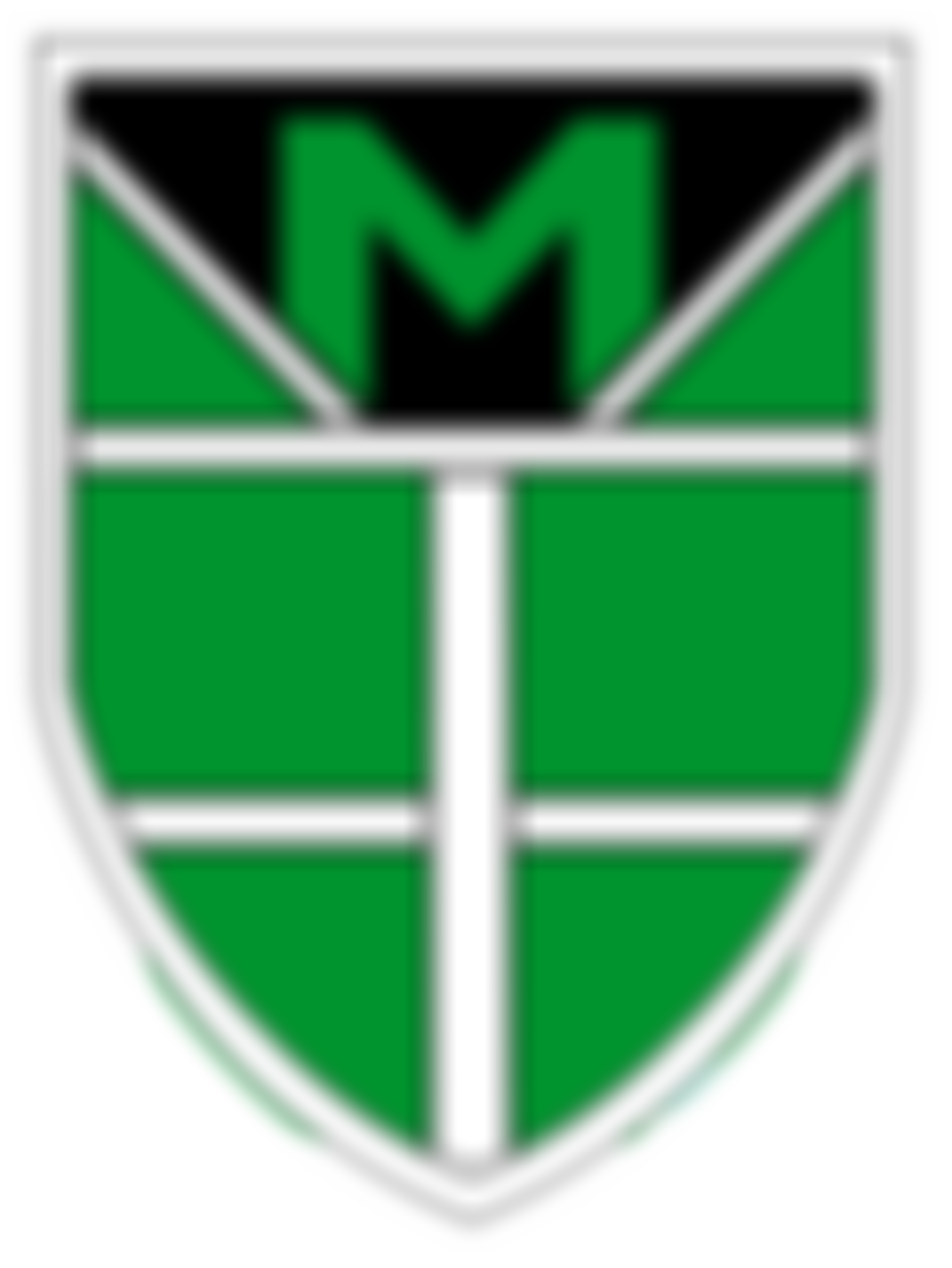 Malvern Primary School Parent Teacher Association (Pta) | Charici