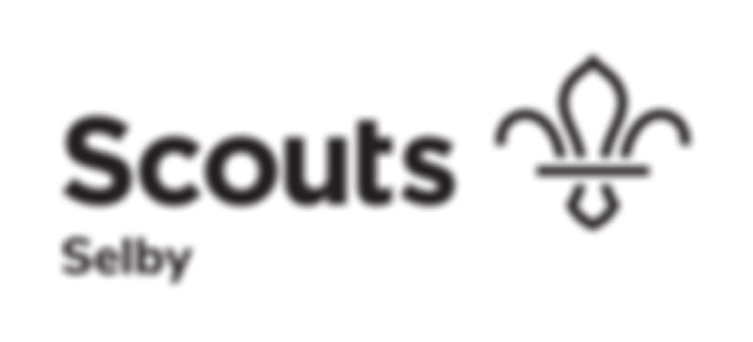 Selby District Scouts | Charici
