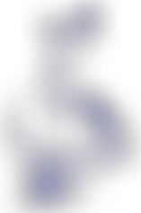 Leander (Kingston) Sea Scout Group | Charici