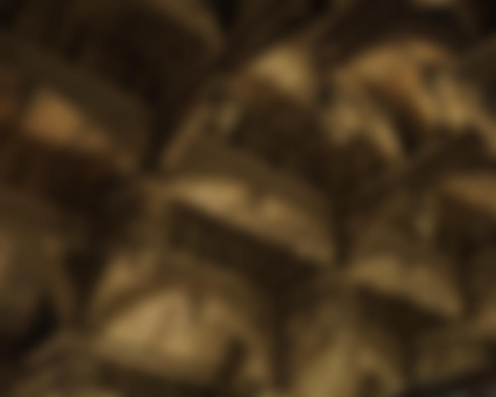 Middle Temple Charity | Charici