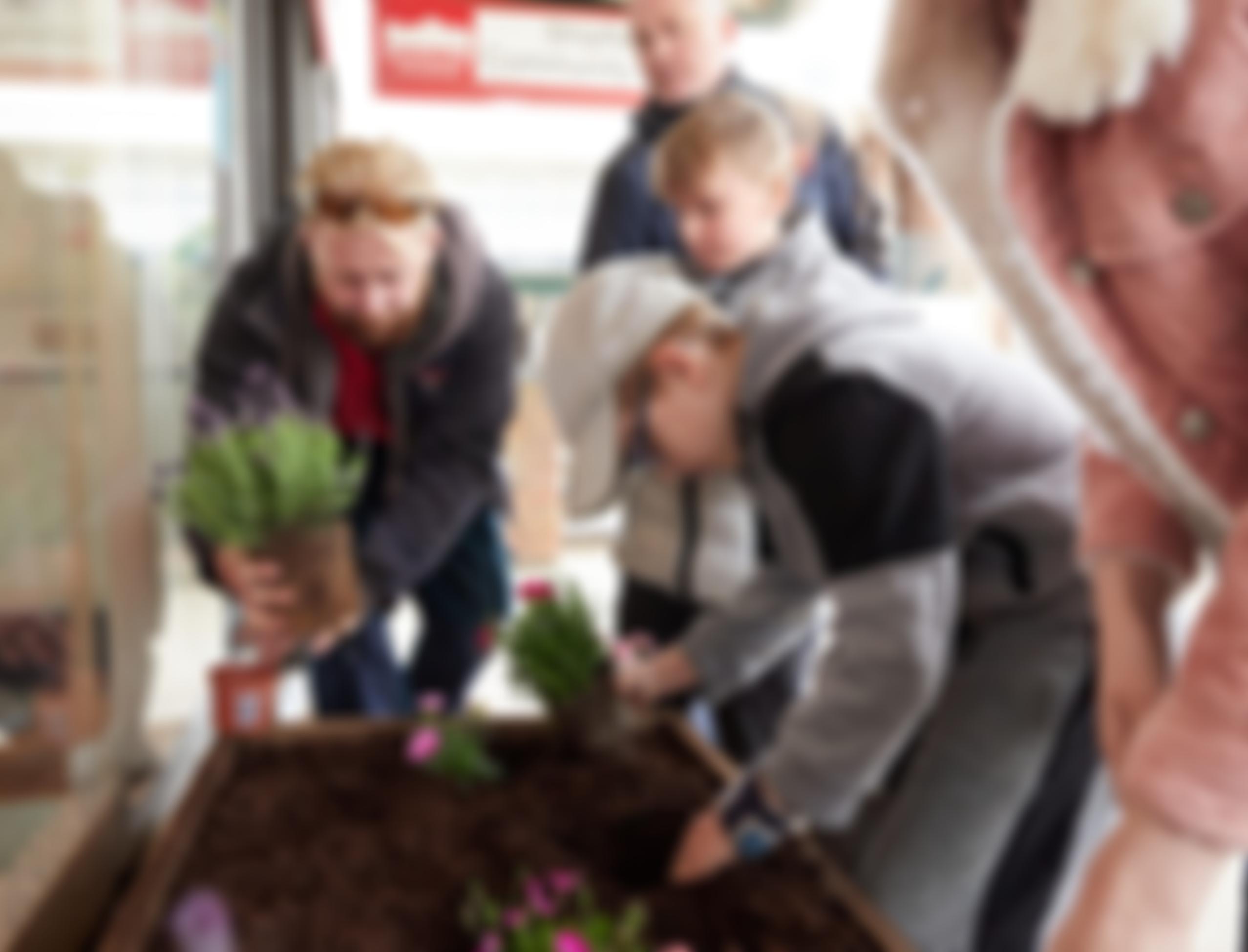 Broadland Meridian | Charici