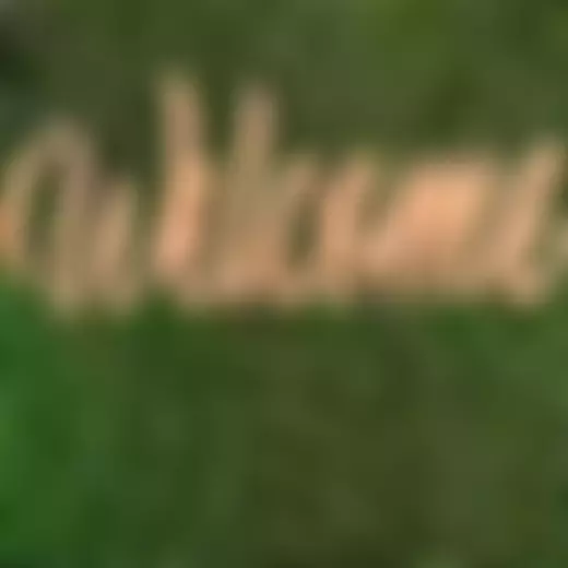 The Parochial Church Council Of The Ecclesiastical Parish Of All Saints, Wick, Diocese Of Chichester. | Charici