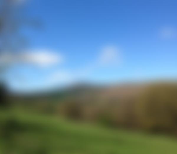 The Black Mountains Land Use Partnership | Charici