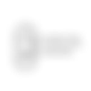 Elmington Community Gardens | Charici