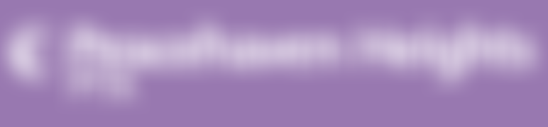 Peacehaven Heights Academy Parent Teacher Association (Pta) | Charici