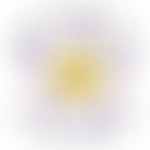 Wrexham Community Gardeners | Charici