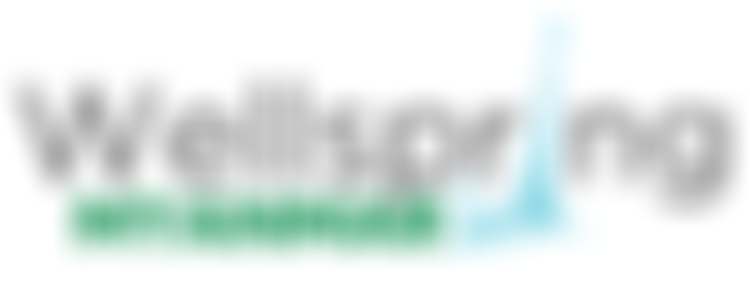 Wellspring Myanmar | Charici