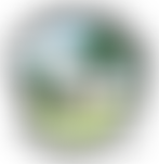 Banningham And Colby Community Hall | Charici