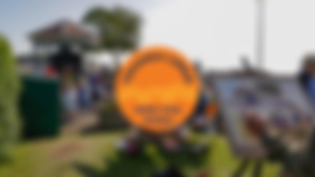 Clevedon Litfest | Charici