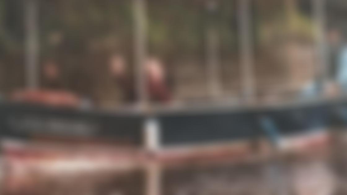 The Wye Princess | Charici