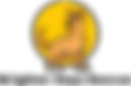 Brighter Days Rescue | Charici