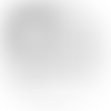 The British Astronomical Association | Charici