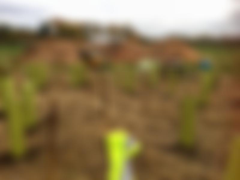 Community Trees Milton Keynes | Charici