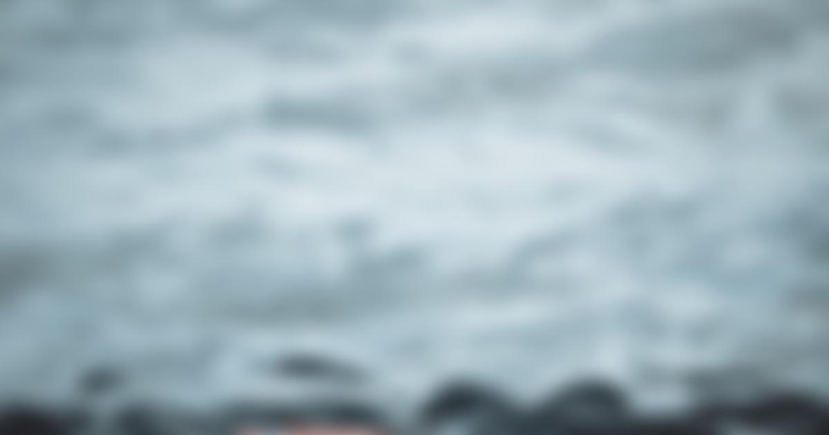 Minnie's Haven Cat Rescue | Charici