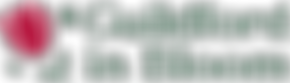 Guildford In Bloom | Charici