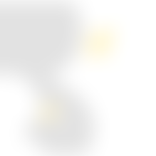 The Ducklings Trust | Charici